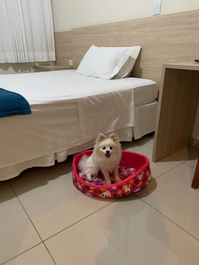Santa Rosa Hotel อัสซิส ภายนอก รูปภาพ